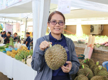 “รมช.เกษตร” ปักหมุดตลาดเกษตรกรเชียงราย หนุนบริโภคผลไม้ไทย ... พารามิเตอร์รูปภาพ 18